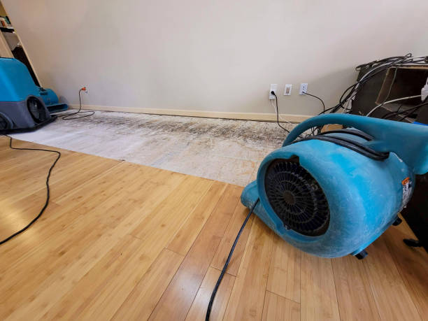 Professional Water Extraction technician working in Niwot, CO